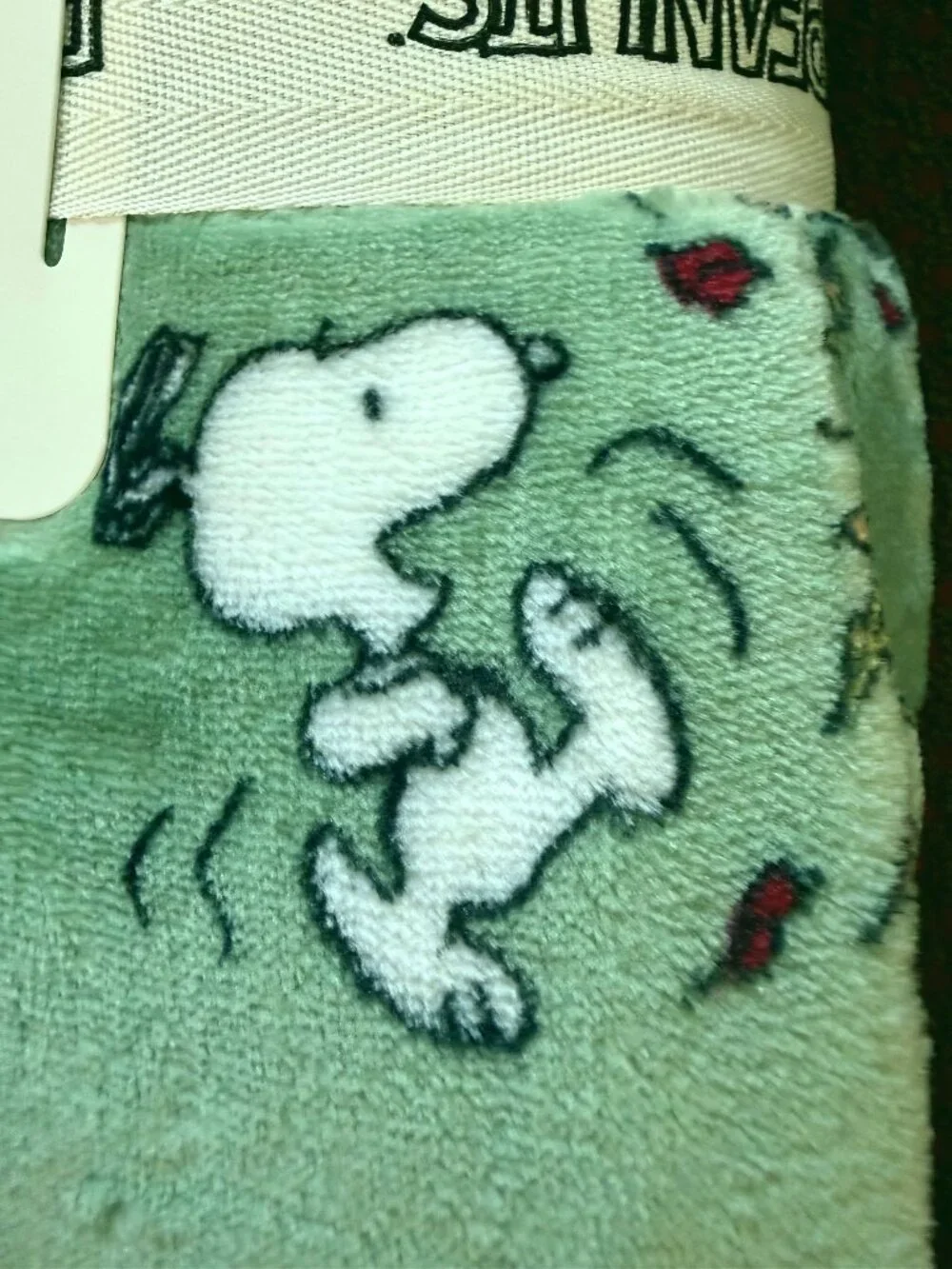 Berkshire 🍂 snoopy